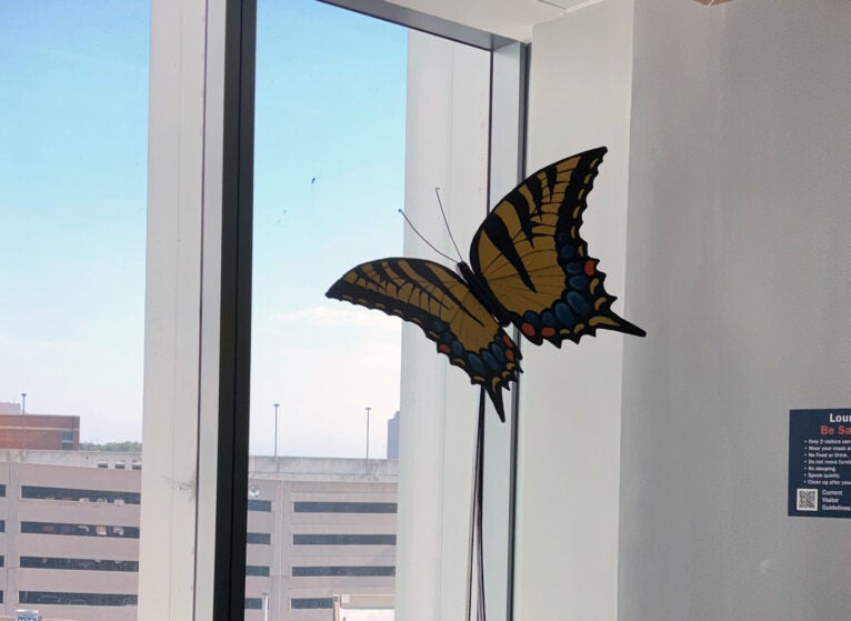 butterfly sculpture