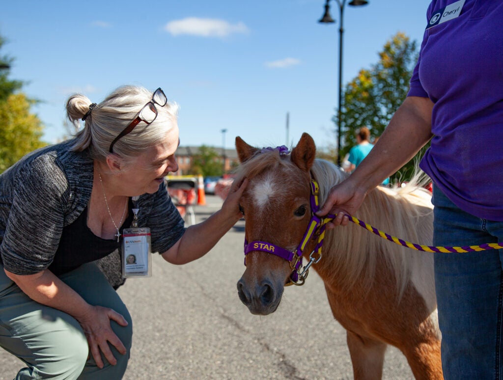 Haymarket county fair celebration