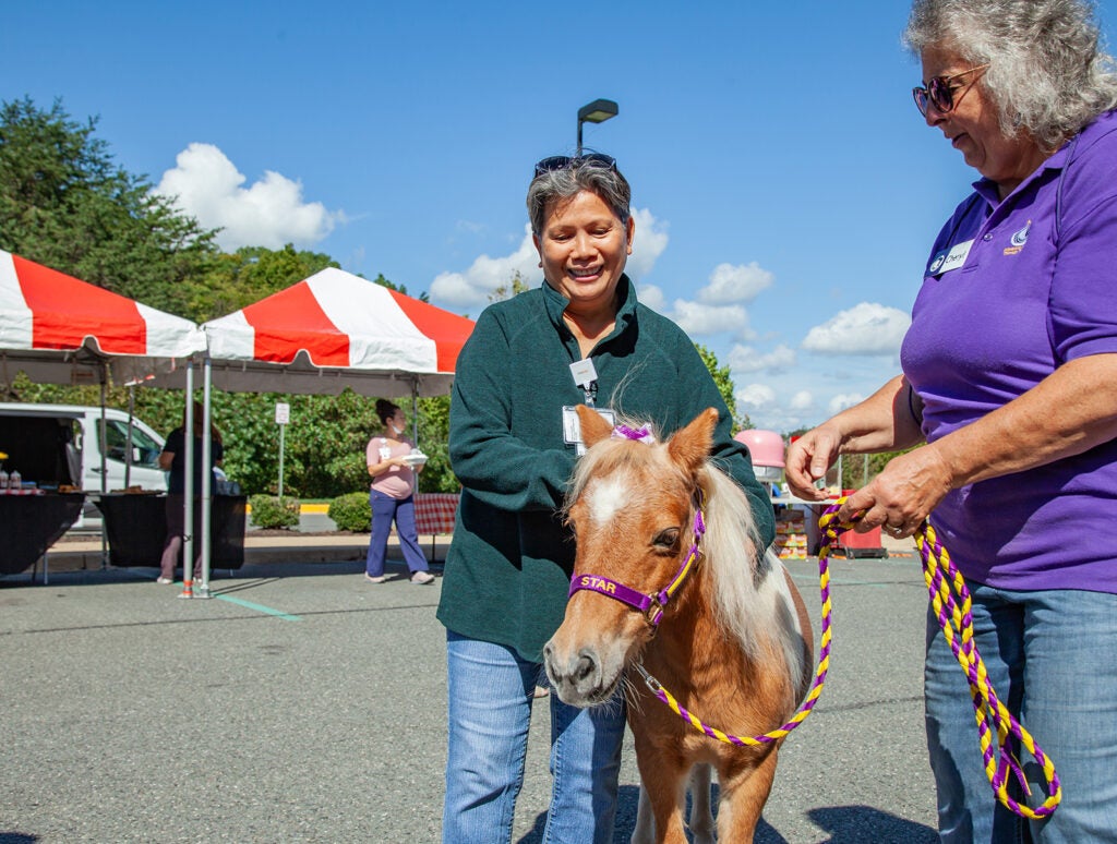 Haymarket county fair celebration