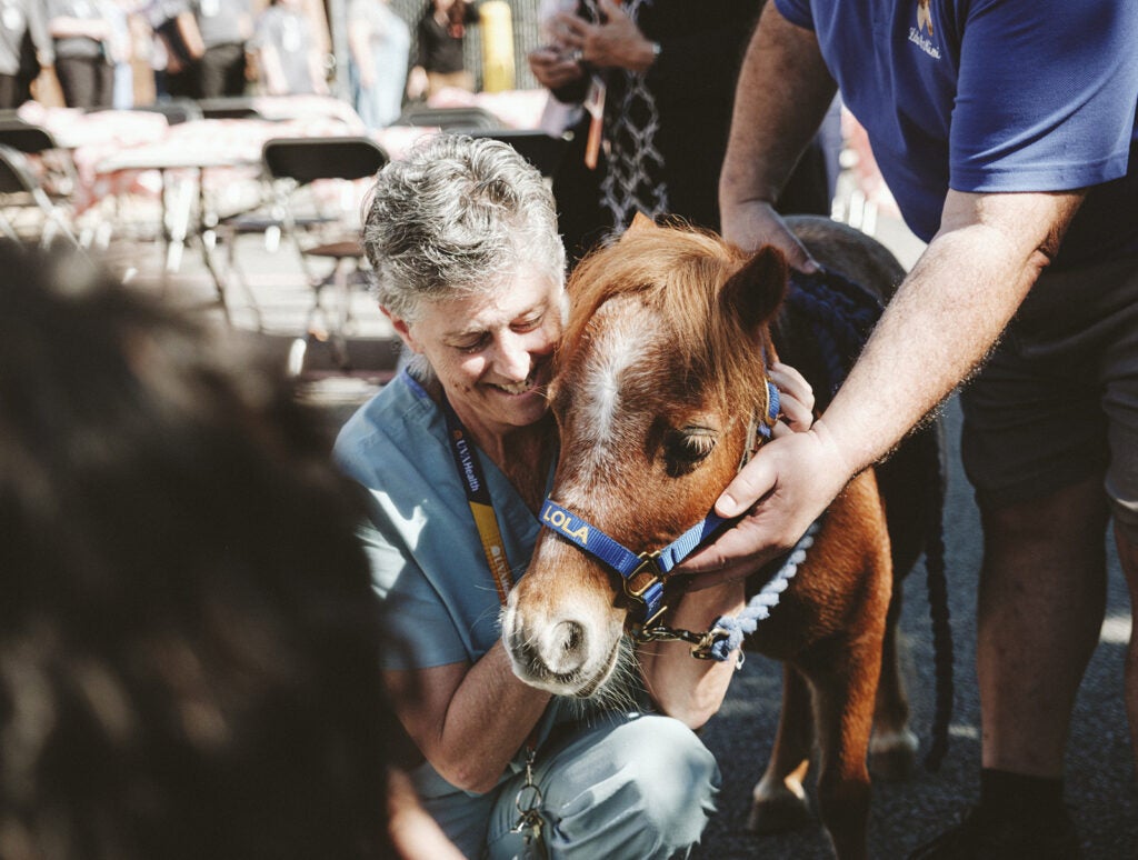 Prince William county fair celebration